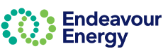 Client Endeavour Energy - Copperleaf Decision Analytics