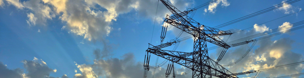 Quantifying reliability in utilities to optimize capital investment and improve grid resilience
