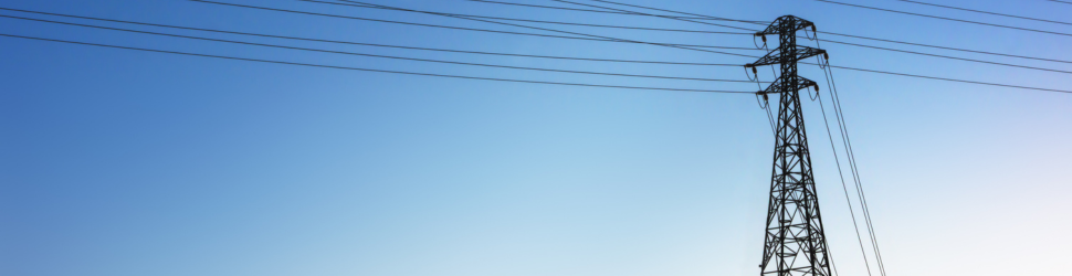 Grid resilience investment strategy for utilities to quantify reliability value and optimize capital planning